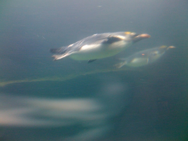 Architecture work by Rob Annable