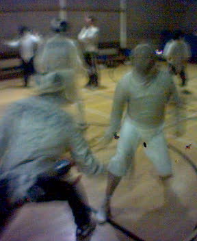 fencing1.jpg
