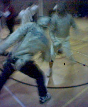 fencing2.jpg