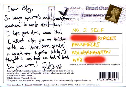 postcard_back.jpg